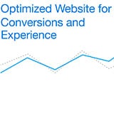 Optimize Your Website for Consumers and Conversions