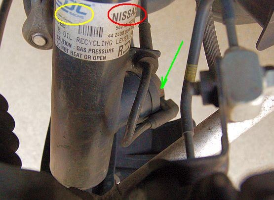 555 inf sus rr sachs cdc.jpg
